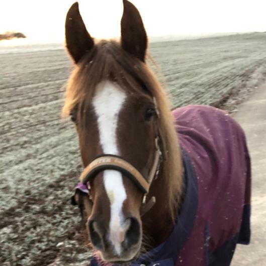 cropped-PHOTO-2019-12-11-14-40-11-1-e1601396644135.jpg